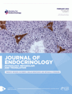 endocrinology journal